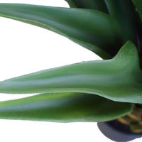 Agave 60cm Plant Artificial Plants Kings Warehouse 