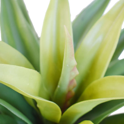 Agave 60cm Plant Artificial Plants Kings Warehouse 