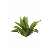 Aloe Vera Stem UV Kings Warehouse 