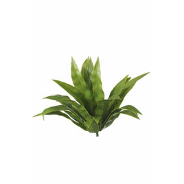 Aloe Vera Stem UV Kings Warehouse 