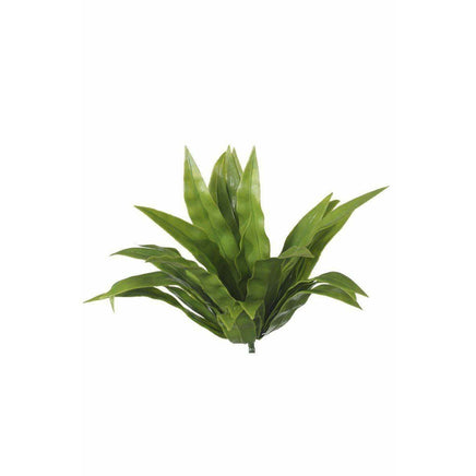 Aloe Vera Stem UV Kings Warehouse 