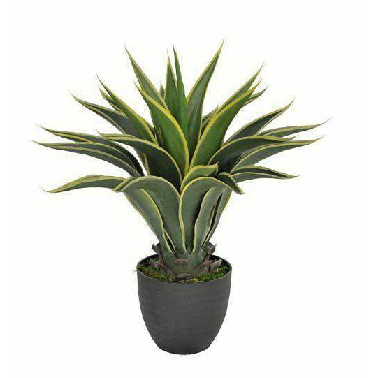 Artificial Agave 60cm Kings Warehouse 
