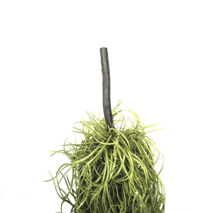 Artificial Air Plant Spanish Moss - Old Man Beard 60cm Decor Kings Warehouse 