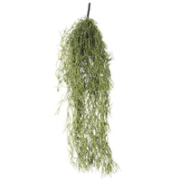 Artificial Air Plant Spanish Moss - Old Man Beard 60cm Decor Kings Warehouse 