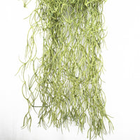 Artificial Air Plant Spanish Moss - Old Man Beard 60cm Decor Kings Warehouse 