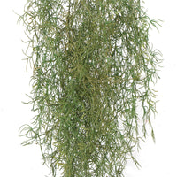 Artificial Air Plant Spanish Moss UV Resistant 100cm Kings Warehouse 