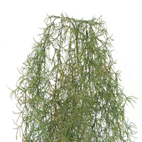 Artificial Air Plant Spanish Moss UV Resistant 100cm Kings Warehouse 