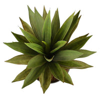 Artificial Dense Potted Aloe Vera Plant 50 cm Kings Warehouse 