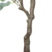 Artificial Eucalyptus Tree (Red Box Eucalyptus Polyanthemos) 150cm New Arrivals Kings Warehouse 