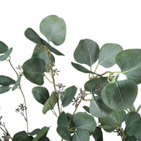 Artificial Eucalyptus Tree (Red Box Eucalyptus Polyanthemos) 150cm New Arrivals Kings Warehouse 