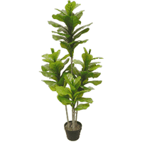 Artificial Fiddle Fig 135cm Kings Warehouse 