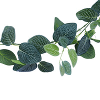 Artificial Fittonia Garland 190cm Home & Garden > Artificial Plants Kings Warehouse 