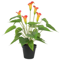 Artificial Flowering White & Orange Peace Lily / Calla Lily Plant 50cm New Arrivals Kings Warehouse 