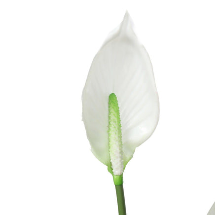 Artificial Flowering White Peace Lily / Calla Lily 95cm New Arrivals Kings Warehouse 