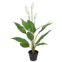 Artificial Flowering White Peace Lily / Calla Lily 95cm New Arrivals Kings Warehouse 