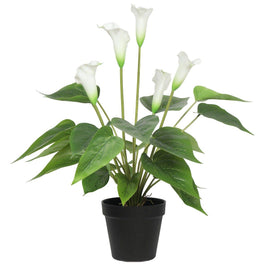 Artificial Flowering White Peace Lily / Calla Lily Plant 50cm New Arrivals Kings Warehouse 