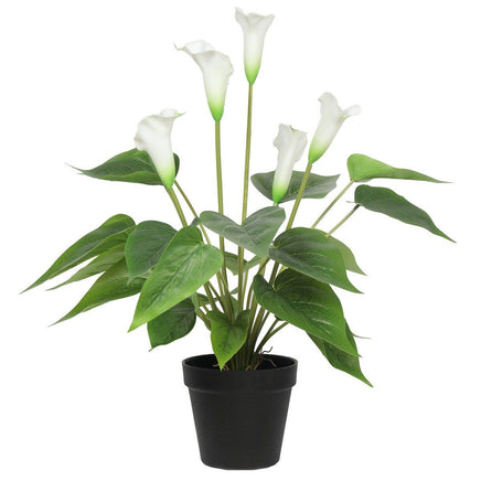 Artificial Flowering White Peace Lily / Calla Lily Plant 50cm New Arrivals Kings Warehouse 