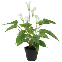 Artificial Flowering White Peace Lily / Calla Lily Plant 50cm New Arrivals Kings Warehouse 