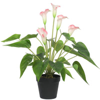 Artificial Flowering White & Pink Peace Lily / Calla Lily Plant 50cm New Arrivals Kings Warehouse 