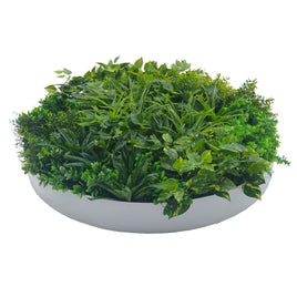 Artificial Green Wall Disc Art 100cm Dark Aloe Vera (Fresh White) Artificial Plants Kings Warehouse 