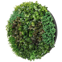 Artificial Green Wall Disk Art 150cm - Dense Green Sensation - Black Frame Kings Warehouse 