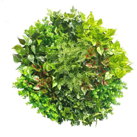 Artificial Green Wall Disk Art 80cm - Mixed Fern Kings Warehouse 