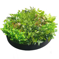 Artificial Green Wall Disk Art 80cm - Mixed Fern Kings Warehouse 