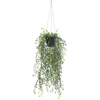 Artificial Hanging Pearls (Potted) 56cm UV Resistant Kings Warehouse 