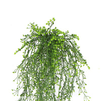 Artificial Hanging Plant (Natural Green) UV Resistant 90cm Kings Warehouse 