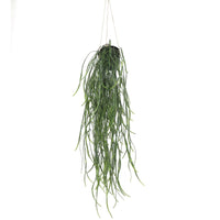 Artificial Hanging Potted Plant (Willow Leaf) 66cm UV Resistant Kings Warehouse 