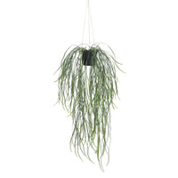 Artificial Hanging Potted Plant (Willow Leaf) 66cm UV Resistant Kings Warehouse 