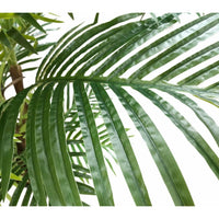 Artificial Hawaii Tropical Palm 170cm Kingswarehouse 