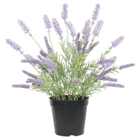 Artificial Lavender Plant 40cm New Arrivals Kings Warehouse 