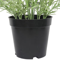 Artificial Lavender Plant 40cm New Arrivals Kings Warehouse 
