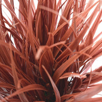Artificial Ornamental Potted Dense Burgundy Grass 38 cm Kings Warehouse 
