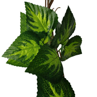 Artificial Pothos / Ivy Hanging Vines 260cm Each (5 pack) Kings Warehouse 