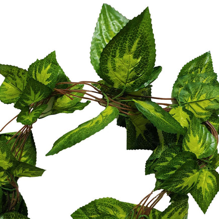 Artificial Pothos / Ivy Hanging Vines 260cm Each (5 pack) Kings Warehouse 