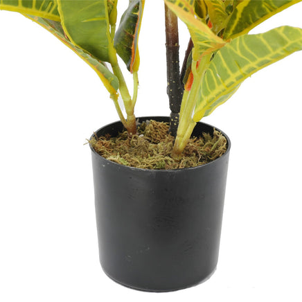 Artificial Potted Flaming Zebra (Codiaeum variegatum / crotons) 55cm Kings Warehouse 