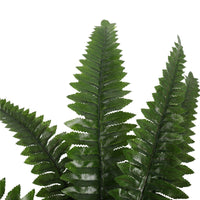 Artificial Potted Natural Green Boston Fern (50cm high 70cm wide) New Arrivals Kings Warehouse 