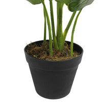 Artificial Potted Taro Plant / Elephant Ear 55cm Kings Warehouse 