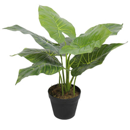 Artificial Potted Taro Plant / Elephant Ear 55cm Kings Warehouse 