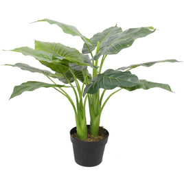 Artificial Potted Taro Plant / Elephant Ear 70cm New Arrivals Kings Warehouse 