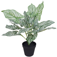 Artificial Potted White Evergreen Aglaonema 40 cm Kings Warehouse 