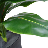 Artificial Potted Wide Leaf Birds Nest Fern 50cm Kings Warehouse 