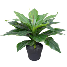 Artificial Potted Wide Leaf Birds Nest Fern 50cm Kings Warehouse 