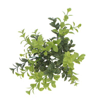 Artificial Rounded Boxwood Stem UV 30cm Kings Warehouse 