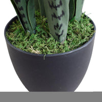 Artificial Snake Plant UV Resistant 60cm Home & Garden > Artificial Plants Kings Warehouse 