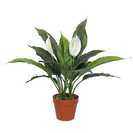 Artificial Spathiphyllum Peace Lily Plant with White Flowers 60cm Kings Warehouse 