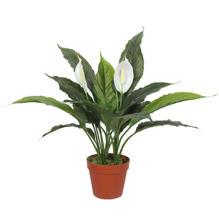 Artificial Spathiphyllum Peace Lily Plant with White Flowers 60cm Kings Warehouse 