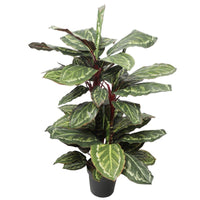 Artificial Wide Leaf Cordyline Plant 90cm Kings Warehouse 